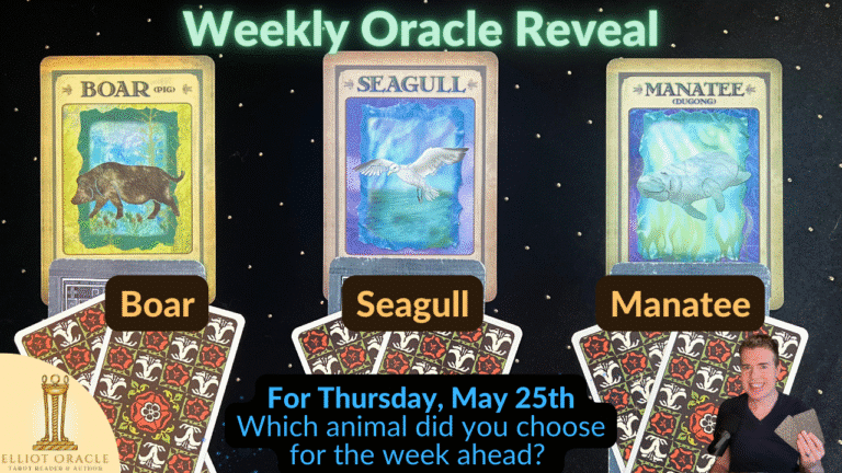 Thu5 25weeklyoracle28ytreveal29