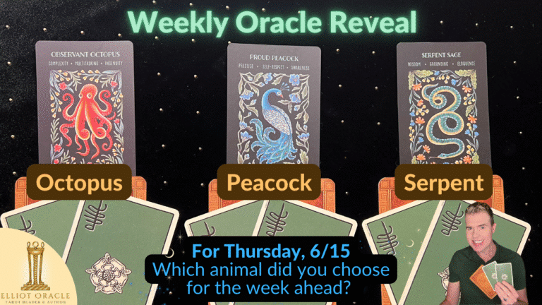 Thu6 15weeklyoracleytreveal28youtubethumbnail29