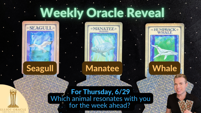Thu6 29weeklyoracleytreveal28youtubethumbnail29