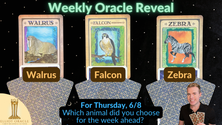 Thu6 8weeklyoracleytreveal28youtubethumbnail29