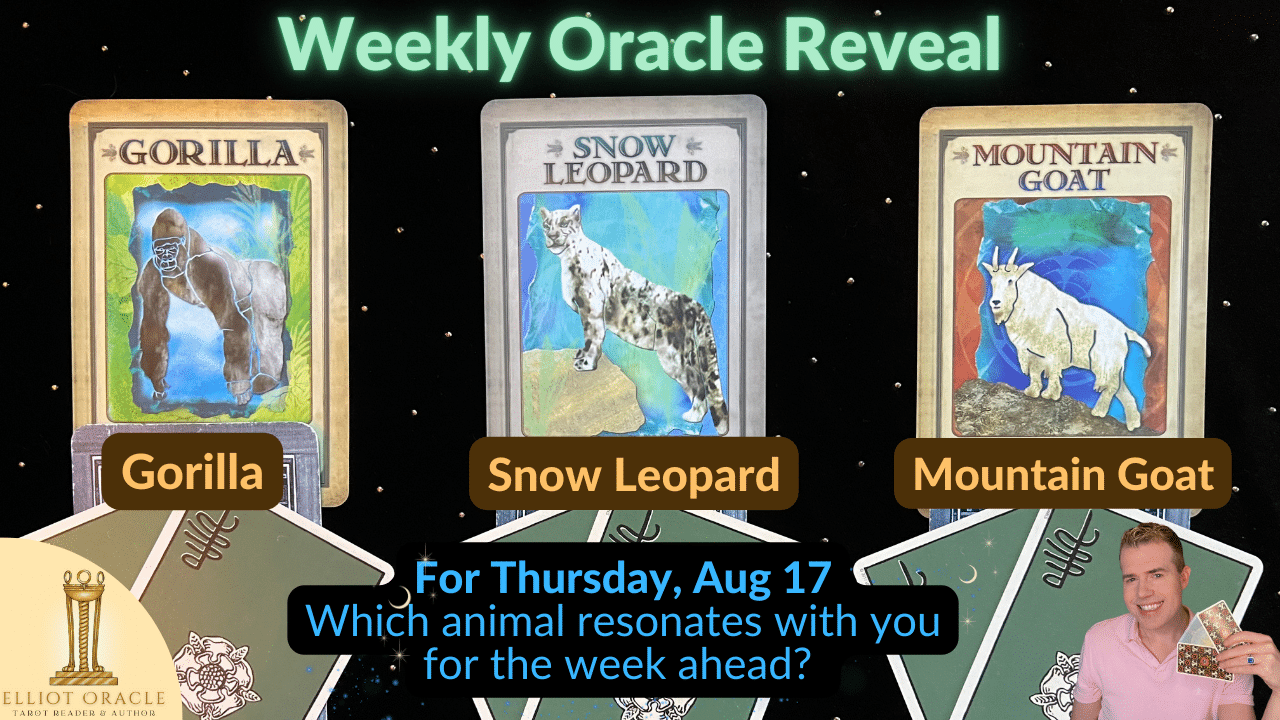 Weekly Oracle Reveal | Reading for Aug 17 to 23 | Elliot Oracle