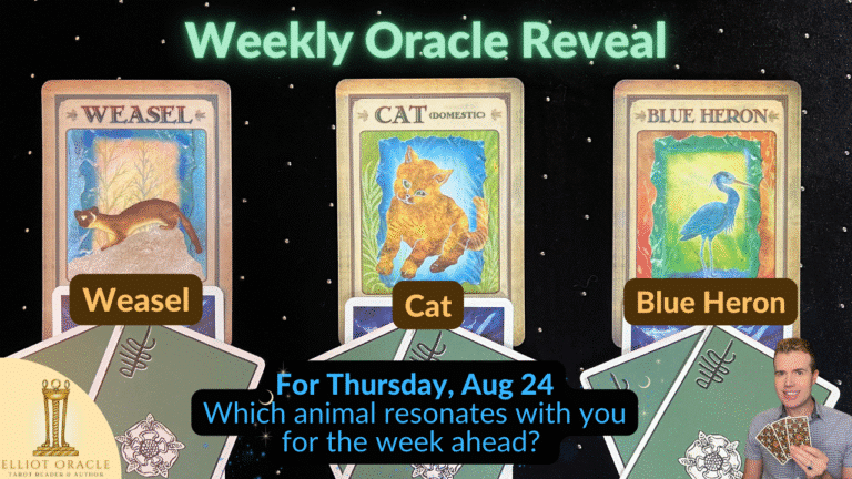 Aug24weeklyoracleytreveal28youtubethumbnail29 1