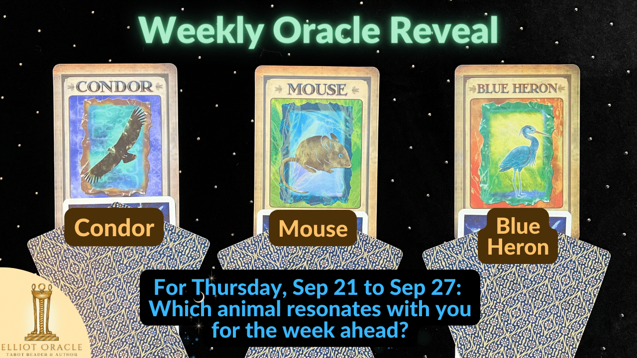 Weekly Oracle Reveal | Reading for Sep 21 to 27 | Elliot Oracle