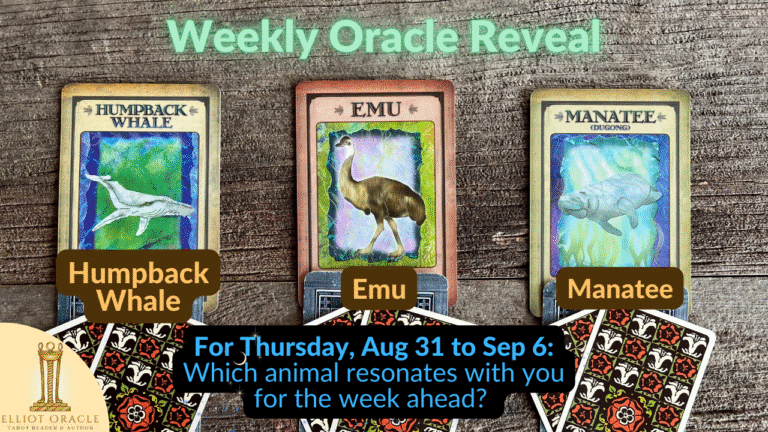 Aug24weeklyoracleytreveal28youtubethumbnail29 1