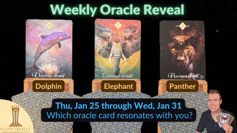 1 25thuweeklyoraclerevealforwebsite dolphin2celephant2cpanther