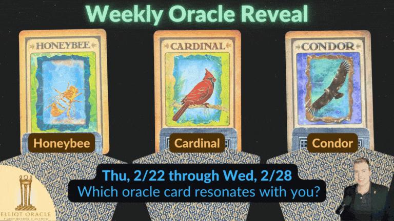 2 22thuthumbnailforweeklyoraclerevealforwebsite