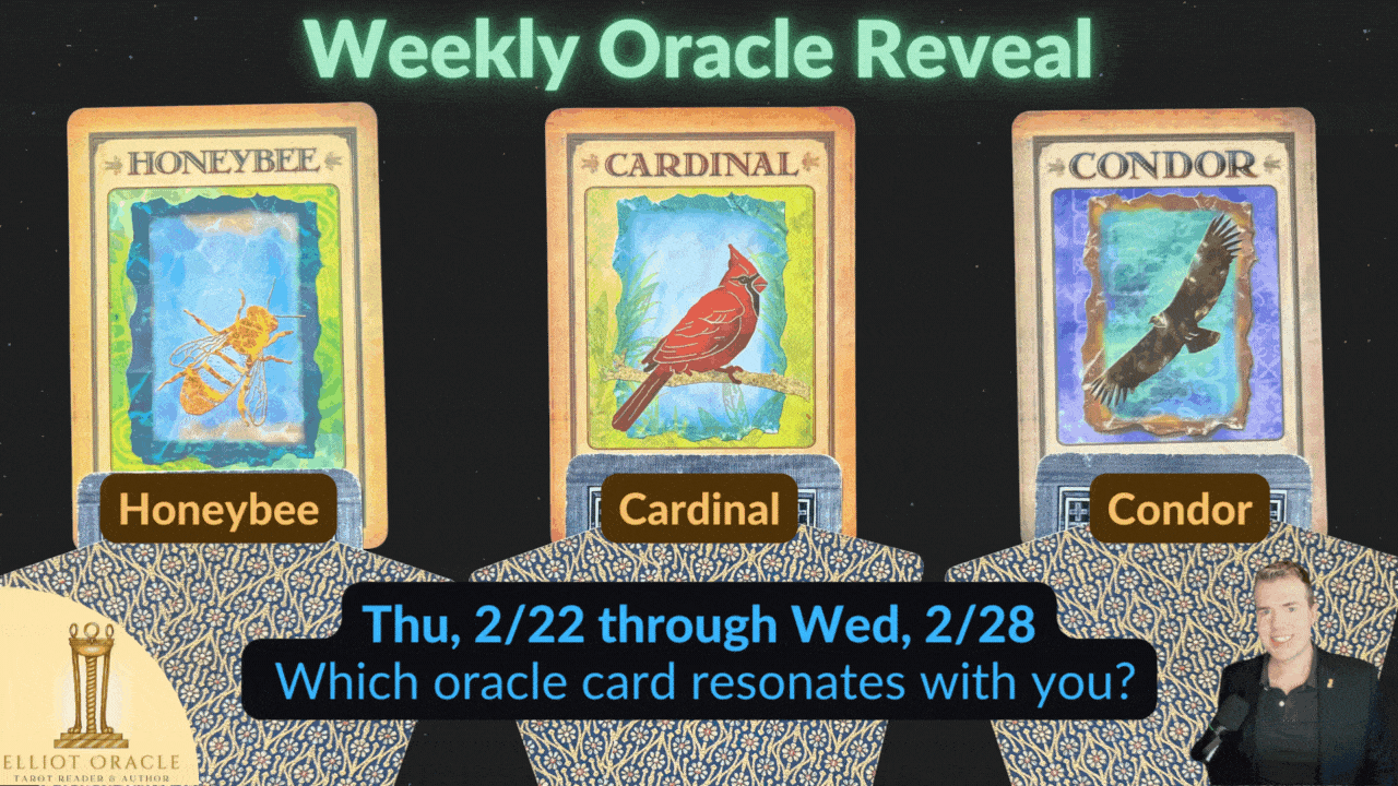 Weekly Oracle Reveal | Reading for Feb 22 to 28 | Elliot Oracle