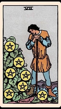 Seven of pentacles (upright) | tarot card